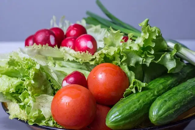 https://homesteadadvisor.com/wp-content/uploads/2019/10/salad-2204505_640.jpg